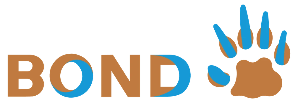Logo del diario BOND