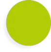 Color de la paleta
